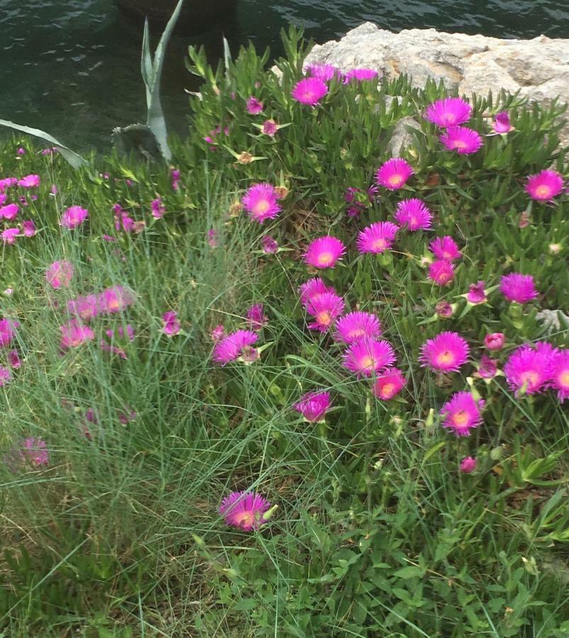 Guesthouse Antonija Veli Lošinj Zewnętrze zdjęcie